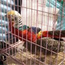 금계로1 이미지