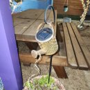 벨루스로즈 펜션 | 🐶🌿 반려견과 함께한 경주 여행, 벨루스로즈펜션 후기 🌿🐶