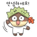 모리온두피탈모 이미지