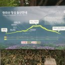 한라산게스트하우스 이미지