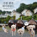 W사우나 | 가평펜션 헤이핀란드ㅣ독채 애견동반 핀란드식 사우나 후기 w 당근이