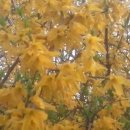 경한농장 이미지