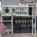 대왕온천 | [경주 송대말등대] 2024.08.11 후기 경주 스노쿨링 명소 경주 해파리 양북대왕온천 후기
