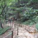 진중2리 이미지