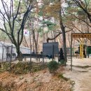 천보체육회 이미지