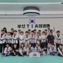 부산TIA태권도 이미지