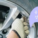 팀케이엠모터스포츠