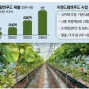 팜&푸드 매일경제