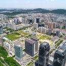 현명한선택 이미지