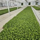 천북농업협동조합 이미지