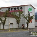 밀양연극촌 우리동네극장 Daum카페