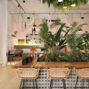 컴포어거두점 이미지