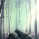 디오기획 네이버블로그