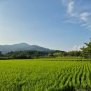 장현농원 이미지