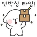 강남강아지 이미지