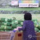4인가족 김장에 대형마트 기준 47만3천원…작년보다 12.7%↑ 이미지