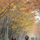 잠실근린공원(외) 이미지