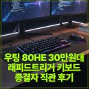 래피드웍스 | 우팅 80HE 30만원대 래피드트리거 키보드 종결자 직관 후기