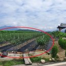 용지온천 이미지