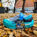 굿초이스 스포츠쎈타(권투) | 2025 자유민주 마라톤 10K 완주 후기 (사진 찾는 곳)