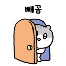 파이올데이 이미지