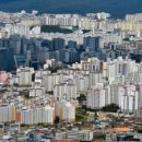 2019-주114 이미지