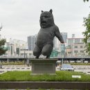 돈키호테-무식한 소 이미지