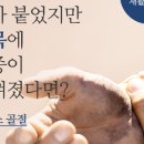 시민당약국 이미지