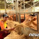 백두농장2 이미지