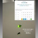 스테이 아담 | 제주 서쪽 반딧불이가 보이는💚감성숙소 애견동반🐶 아담스테이🌴 [자쿠지/ 바베큐/ 정원/애견용품 완비]