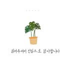 더하다 양정점 이미지