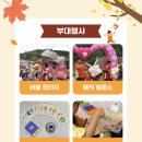 하이마켓 이미지