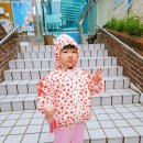 빈키즈 이미지