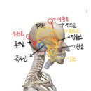 은에스테틱 네이버블로그