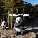 생각이 자라는 어린이 북클럽 | 어린이체험 용인 에버랜드 이큐브스쿨 키즈프로그램 후기