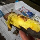 치악산자연휴양림 | 강원도 치악산 자연휴양림 숙소 후기 잣나무 조용하게 산림욕