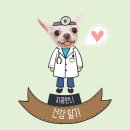 건강 일기: [올소 치과] 매복사랑니 발치 수면마취 후기 (+비용)