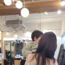 다향샵 이미지