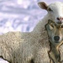 동서울 중앙교회 이미지