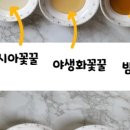 지리산벌꿀영농조합법인 네이버블로그