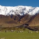 뉴라인시네마 이미지