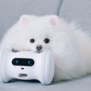 두잇피트니스 이미지