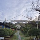 시리미로 | 강화도 시리미 자연놀이 체험장 후기, 숲체험 짚라인 야외 키즈 카페