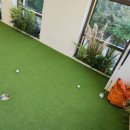 필드림 Golf 이미지