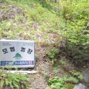 대양조경