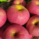 올바른 농원 이미지