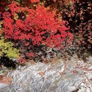 무흘계곡황토집 이미지