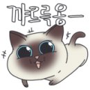 오*식 이미지