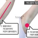 얼굴부종 다리부종 원인, 겨드랑이 림프순환 마사지 (림프선, 림프절) 이미지