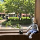 베르데약국 이미지